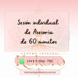 Sesión individual de Asesoría de 60 minutos