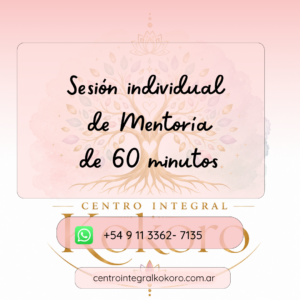 Sesión individual de Mentoría de 60 minutos